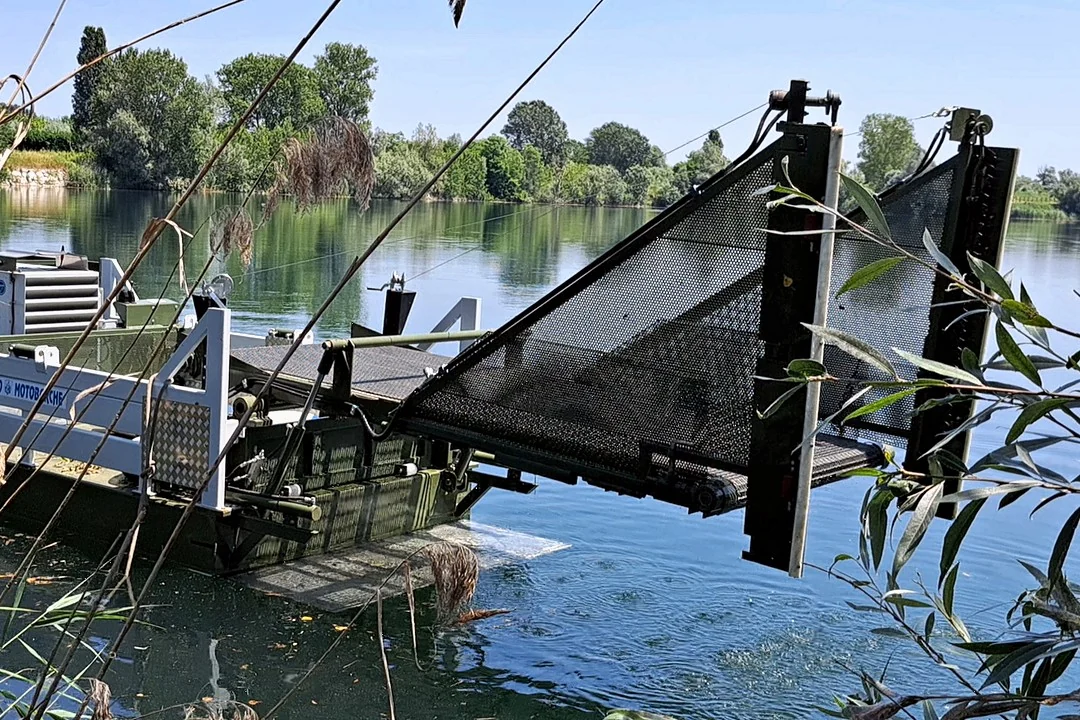 The collection conveyor lifts, controlled from the bank — Nettuno NEXTGEN